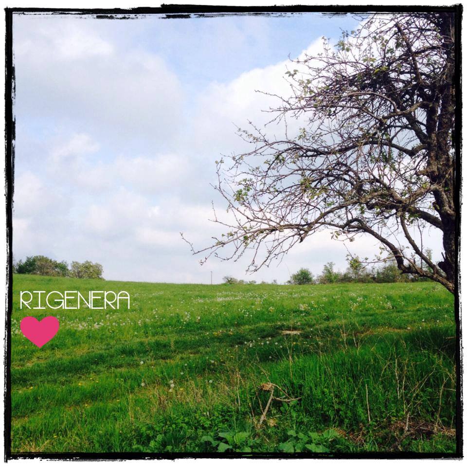 NUOVE BLOGGER DA QUESTA PRIMAVERA…