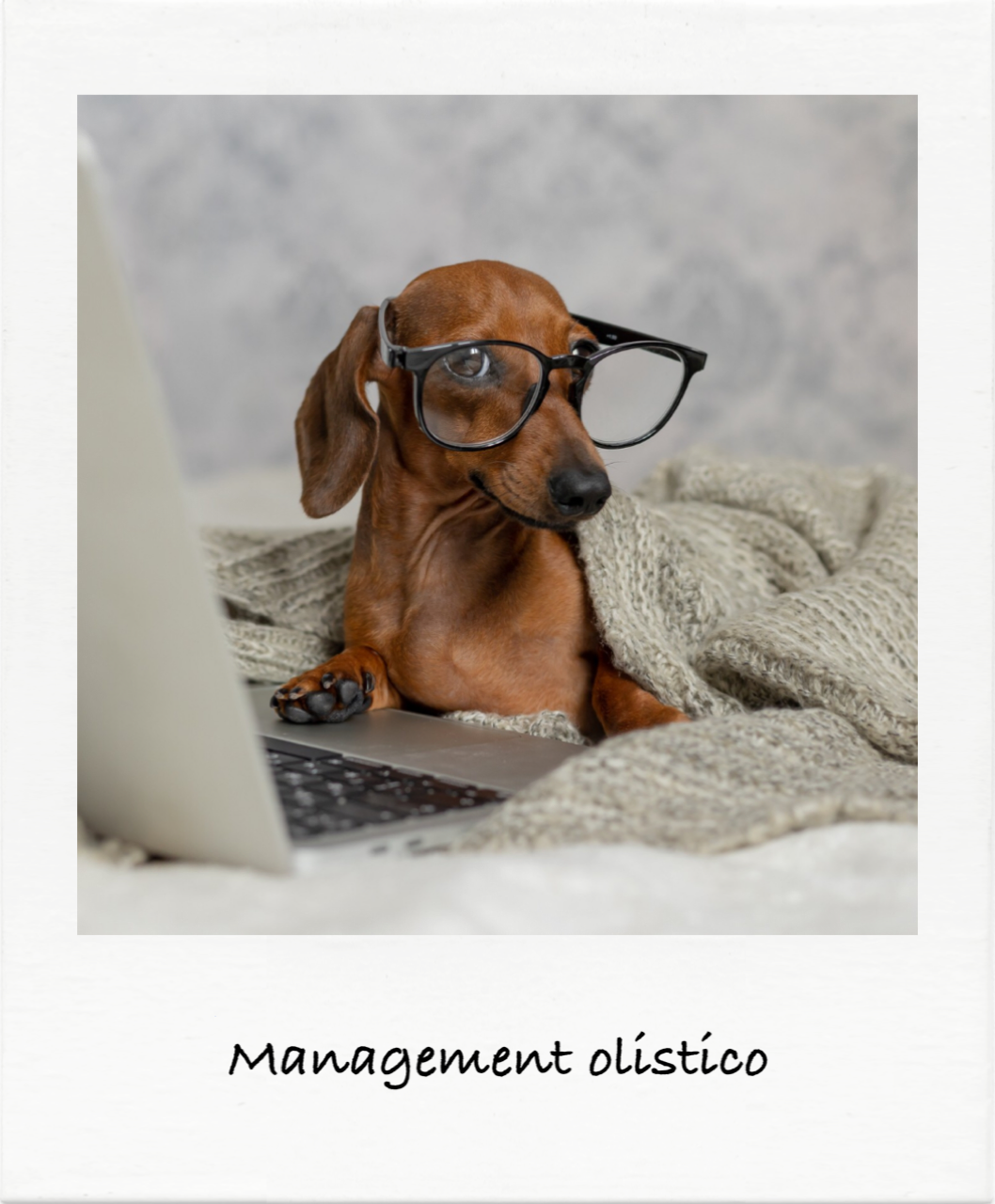 MANAGEMENT OLISTICO